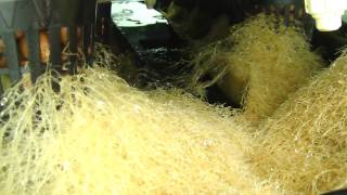 Maintaining healthy aeroponic roots part3 [upl. by Ecyrb]