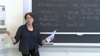 Lecture 21 The Cell and How it Works — Condensation and Hydrolysis [upl. by Nasya]