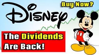 Disney Brought Back the Dividends  Walt Disney DIS Stock Analysis [upl. by Mathilde]