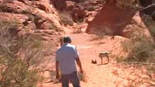 Atlatls Valley of Fire 2009 Part 1 [upl. by Gehman]