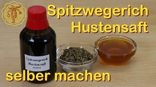 Spitzwegerich Hustensaft selber machen [upl. by Shlomo]