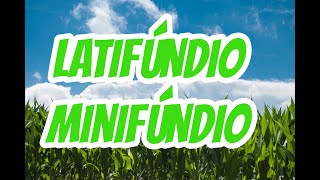 LATIFÚNDIOS E MINIFÚNDIOS QUAIS AS DIFERENÇAS  EF07GE06 [upl. by Tewfik]