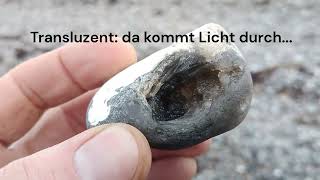 seltene versteinerte Koralle bei MIneral und Fossiliensuche am Steilufer Heiligenhafen Ostsee [upl. by Ahl]