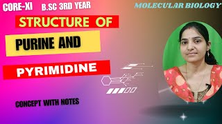 Structure of Purine And Pyrimidine BSc 3rd YearAdenineGuanineCytosineThymineUracil [upl. by Marchese]