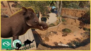 Back in our desert zoo with some WARTHOGS Wahat Jamila  Planet Zoo  12 [upl. by Gavan]