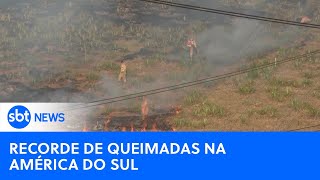 América do Sul quebra recorde com 346 mil focos de incêndio em 2024  SBTNewsnaTV 130924 [upl. by Nitsid773]