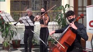 CAMERATA STRADIVARI TEMA CUENTOS DE LOS BOSQUES DE VIENA [upl. by Itnuahsa]