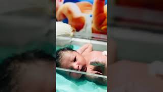 New born baby doll newbornbaby trending cutebaby baby babygirl cute viralvideo youtube viva [upl. by Llerut]