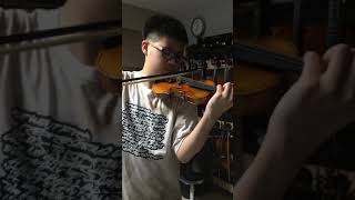 Josef LT 800 advance 14 violin sound sample [upl. by Schonthal]