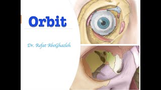 Anatomy of Orbit [upl. by Akram]