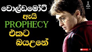 Prophecy එක ගැන හැමදෙයක්ම  Harry Potter Prophesy Explained [upl. by Nnahteb]