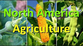 North America  Precolonial Agriculture [upl. by Kasey867]