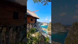 Tree house bali bali travel bangladesh indonesia beach treehouse music [upl. by Maharva74]