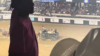 Westerfield Belgiums￼ Kentucky Rodeo 2024 part 2 [upl. by Mueller]