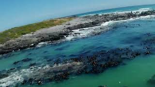 FPV Grotto Bay Cape Town South Africa [upl. by Beebe]