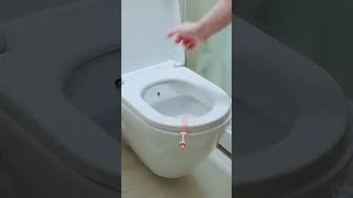 Avoid Germs with This Simple Toilet Hack💦 dealsdost [upl. by Eeliak]