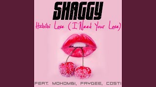 Habibi Love I Need Your Love [upl. by Anegue]