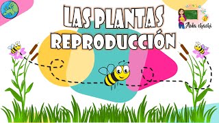 Las Plantas  Reproducción  Aula chachi  Vídeos educativos para niños [upl. by Euqinomod308]