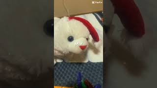 Santa clause won’t make me happy with a toy on Christmas Day [upl. by Rebma]