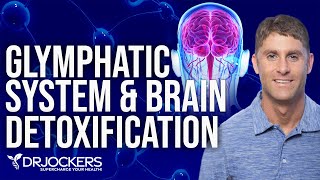 The Glymphatic System and Brain Detoxification [upl. by Celisse382]