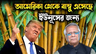 এখন শেখ হাসিনার সমর্থনে কথা বলছে আমেরিকা  ইউনূসের অন্তর্বর্তী সরকারের কি হবে এবার বাংলাদেশে [upl. by Caasi]