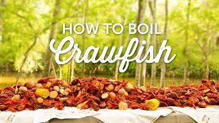 How to Boil Crawfish  Louisiana Recipe  BBQGuyscom [upl. by Irod412]