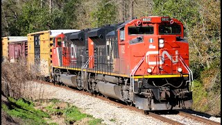 A488 rolling south around the curve at Lucedale MS on the CN Beaumont Subdivision [upl. by Airamzul]