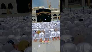 Zamee puchti hai namazi Kahan hai ❤️ love allah islam Islamicvideos1431 [upl. by Guss]