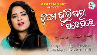 Tume Bhuligala Pare Pare  Official Studio Version  Amrita Nayak  Debashish Panda  Odia Sad Song [upl. by Sybille]