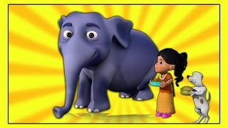 Hathi Raja Hindi Nursery Rhymes  हाथी राजा कहाँ चले  Kids Tv India  Hindi Nursery Rhymes [upl. by Yart]