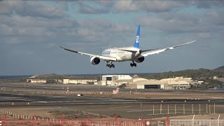 Planespotting in 4K from various locations at Las Palmas Gran Canaria airport [upl. by Maxima]