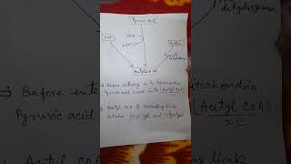 Acetyl CoA formation [upl. by Sydney]