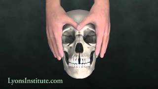 Biodynamic Craniosacral Therapy The Hard Palate  Orbital Hold [upl. by Beck]