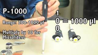 How to use a Micropipette [upl. by Warfore]