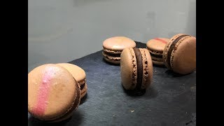 馬卡龍教程  巧克力馬卡龍 Chocolate Macaron [upl. by Row]