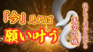 『今見れば』願い叶う！！日本三大山城でもあり実は強力なパワースポット※天空の城【備中松山城】 Castle in the sky【Bitchūmatsuyamajō】 [upl. by Dustin]