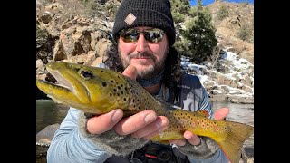 Waterton Canyon 16 Brown Trout  November 2024 [upl. by Anirdnaxela993]