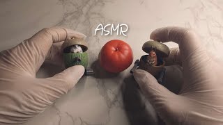 ASMR  Rodents figures｜설치류 피규어 [upl. by Enajaras593]