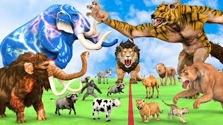 5 Giant Mammoth Elephant Cow Vs 5 Giant Lion Tiger Wolf Attack Buffalo Zebra Saved by Woolly Mammoth [upl. by Fairman]