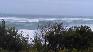 Live today at nauset lighthouse beach eastham Massachusetts [upl. by Akinimod]