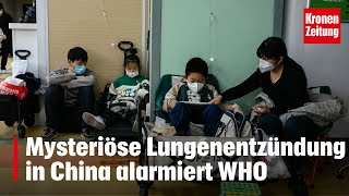 Mysteriöse Lungenentzündung in China alarmiert WHO   kronetv NEWS [upl. by Artied328]