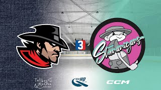 Regulators v Shenanigans  Div 3  5th November  IceHQ Rec League ice hockey [upl. by Cogen]