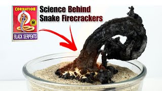 Snake Firecracker Experiment How It Works  स्नेक पटाखा कैसे काम करता है [upl. by Nwahsem267]