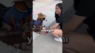 Eğer Bu Köpeğe 1 Verirseniz sparlingspaz [upl. by Nomelc153]