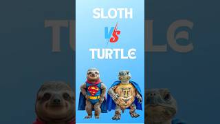 Slowest Superhero Battle Ever Turtle vs Sloth  Animal Hero Showdown Slothshorts turtleshorts [upl. by Gleeson]