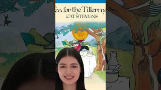 CAT STEVENS  TEA FOR THE TILLERMAN [upl. by Eugilegna535]