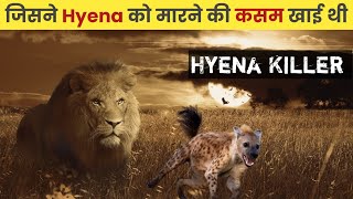 Hyena Killer Lion । Lion Attack Hyena । Ntwadumela Lion । Alpha Factz [upl. by Valry947]