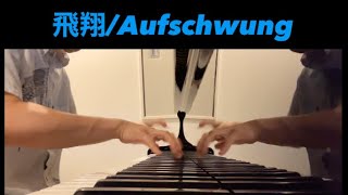 RSchumann  シューマン  Aufschwung  飛翔 [upl. by Shimberg]