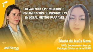 Prevalencia y prevención de contaminación de micotoxinas en los alimentos para aves [upl. by Lanette74]