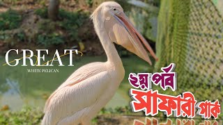 এমন কিছু হয়তো আগে কখনোই দেখেন নি 🙀  সাফারী পার্ক ২য় পর্ব  Safari park Gazipur  Zibbook [upl. by Eltsyek]